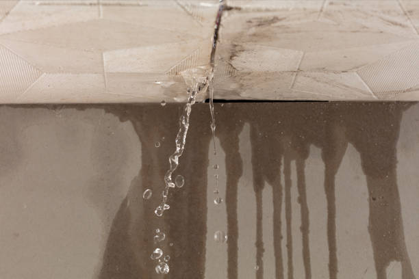 Professional Structural Drying technician working in Orient, WA